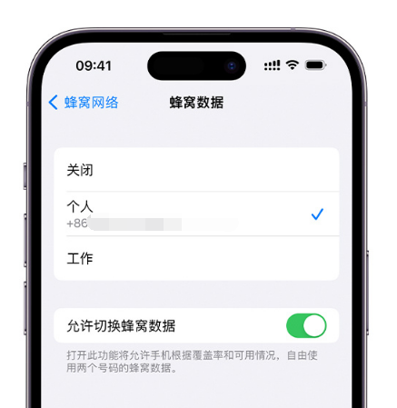 平南苹果维修服务分享如何在iPhone上使用双卡 